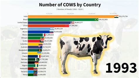 how many cows are in china